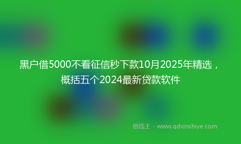 黑户借5000不看征信秒下款10月2025年精选，概括五个2024最新贷款软件