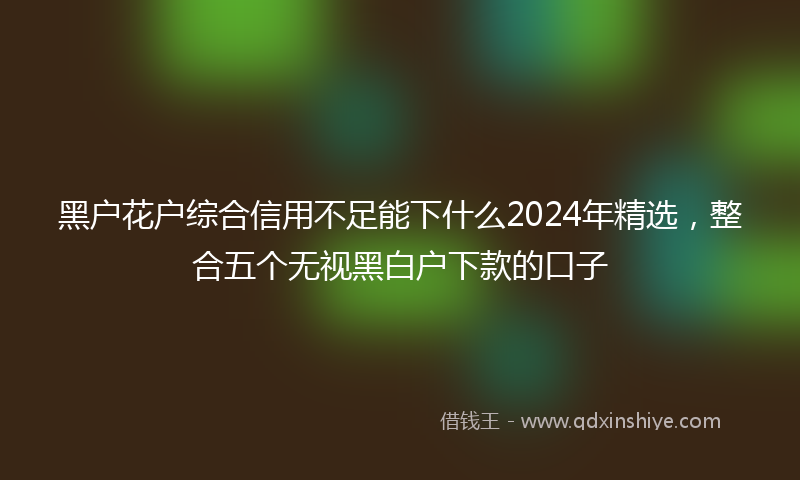 黑户花户综合信用不足能下什么2024年精选，整合五个无视黑白户下款的口子
