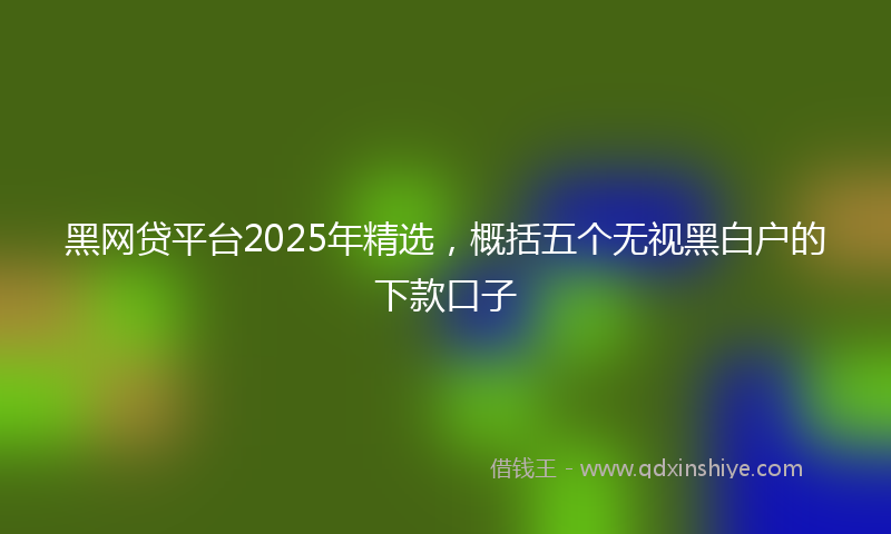 黑网贷平台2025年精选，概括五个无视黑白户的下款口子