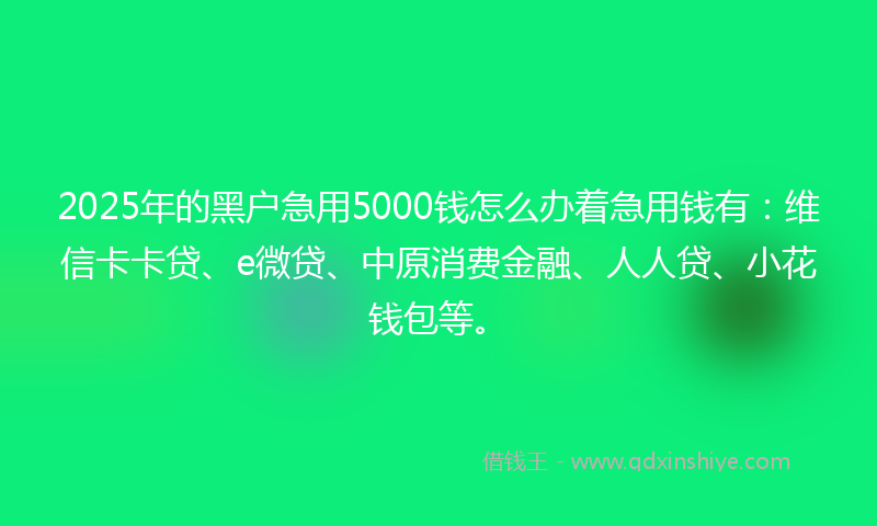 2025年的黑户急用5000钱怎么办着急用钱有:维信卡卡贷、e微贷、中原消费金融、人人贷、小花钱包等。