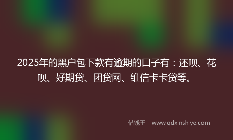 2025年的黑户包下款有逾期的口子有：还呗、花呗、好期贷、团贷网、维信卡卡贷等。
