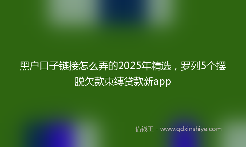 黑户口子链接怎么弄的2025年精选，罗列5个摆脱欠款束缚贷款新app