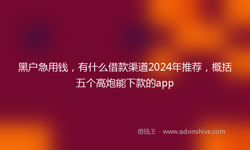 黑户急用钱，有什么借款渠道2024年推荐，概括五个高炮能下款的app