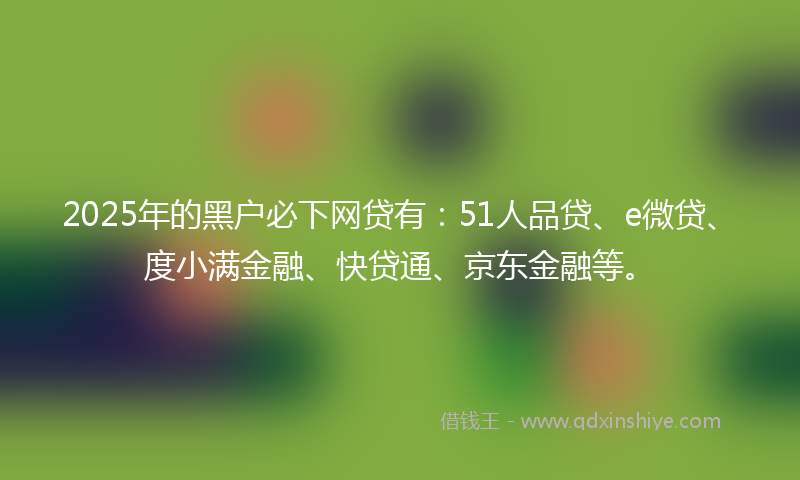 2025年的黑户必下网贷有：51人品贷、e微贷、度小满金融、快贷通、京东金融等。