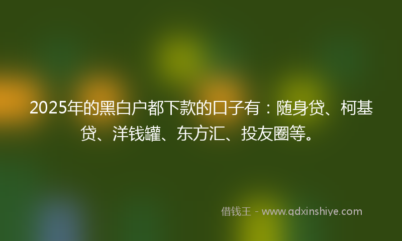 2025年的黑白户都下款的口子有：随身贷、柯基贷、洋钱罐、东方汇、投友圈等。