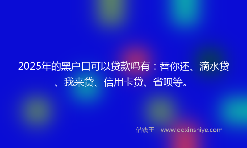 2025年的黑户口可以贷款吗有：替你还、滴水贷、我来贷、信用卡贷、省呗等。
