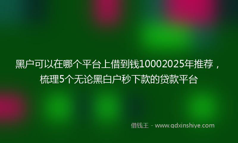 黑户可以在哪个平台上借到钱10002025年推荐，梳理5个无论黑白户秒下款的贷款平台