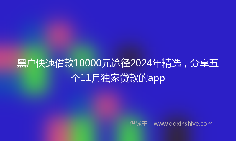 黑户快速借款10000元途径2024年精选，分享五个11月独家贷款的app