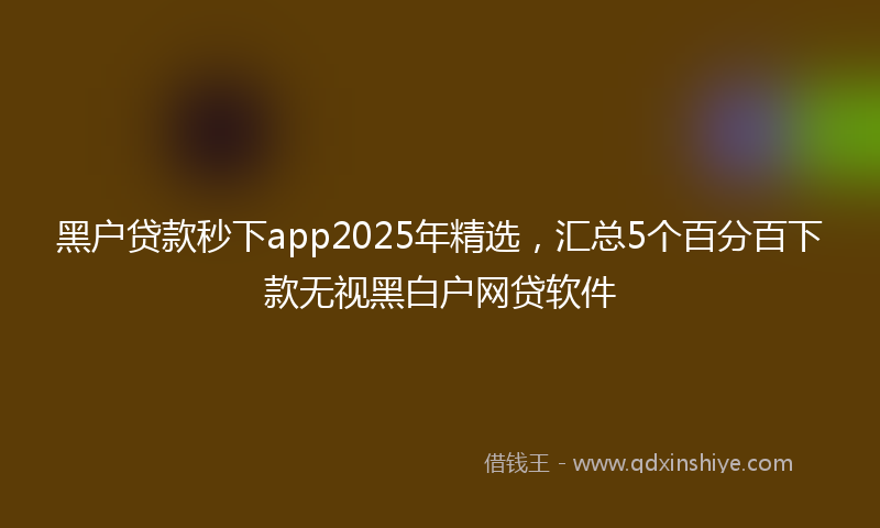 黑户贷款秒下app2025年精选，汇总5个百分百下款无视黑白户网贷软件