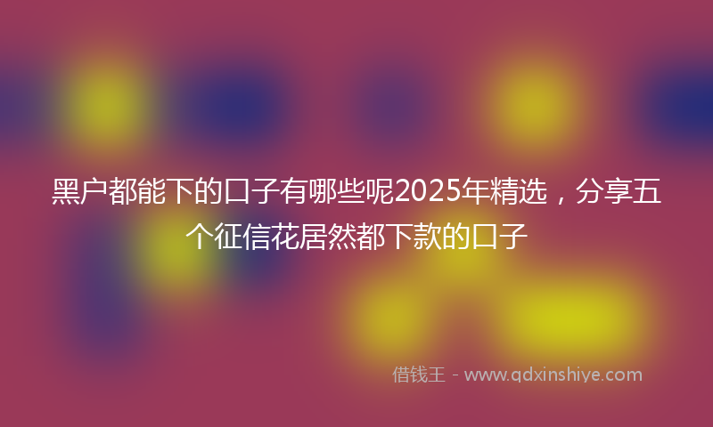 黑户都能下的口子有哪些呢2025年精选，分享五个征信花居然都下款的口子
