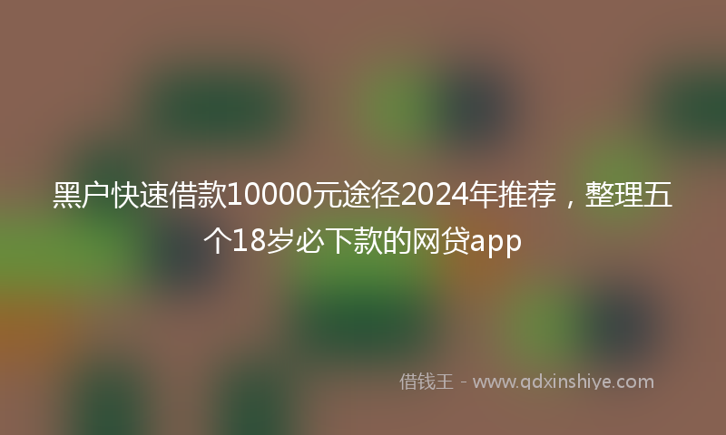 黑户快速借款10000元途径2024年推荐，整理五个18岁必下款的网贷app
