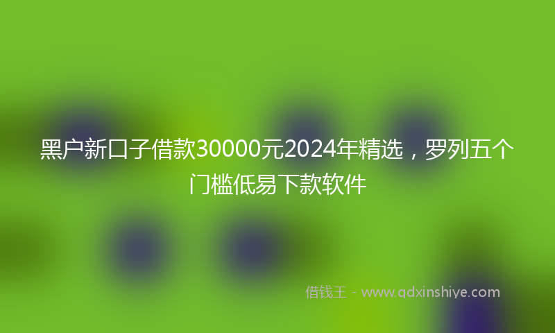 黑户新口子借款30000元2024年精选，罗列五个门槛低易下款软件