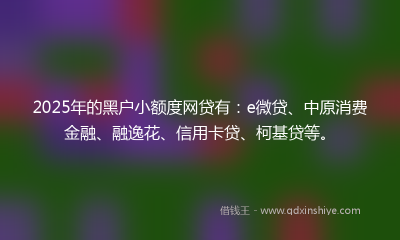 2025年的黑户小额度网贷有：e微贷、中原消费金融、融逸花、信用卡贷、柯基贷等。