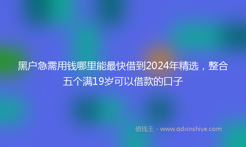 黑户急需用钱哪里能最快借到2024年精选，整合五个满19岁可以借款的口子