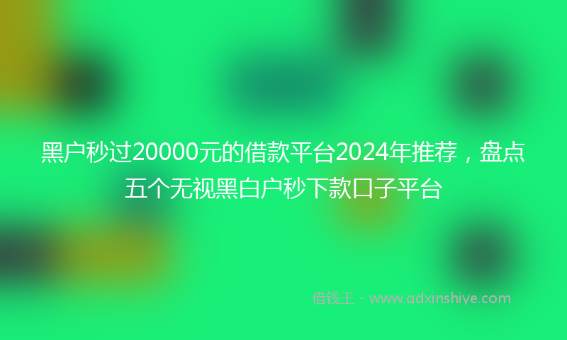 黑户秒过20000元的借款平台2024年推荐，盘点五个无视黑白户秒下款口子平台
