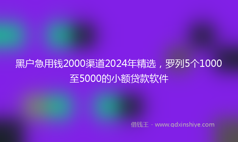 黑户急用钱2000渠道2024年精选，罗列5个1000至5000的小额贷款软件