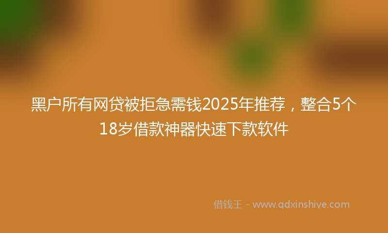 黑户所有网贷被拒急需钱2025年推荐，整合5个18岁借款神器快速下款软件