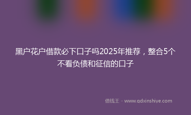 黑户花户借款必下口子吗2025年推荐，整合5个不看负债和征信的口子
