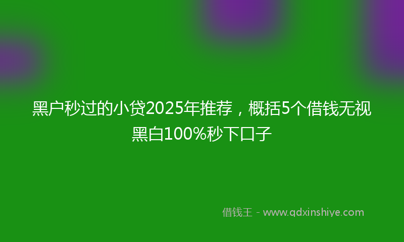 黑户秒过的小贷2025年推荐，概括5个借钱无视黑白100%秒下口子