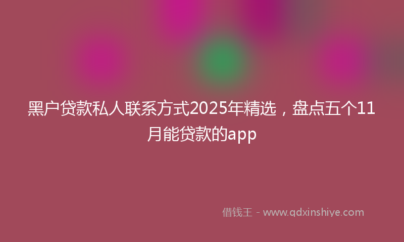 黑户贷款私人联系方式2025年精选，盘点五个11月能贷款的app