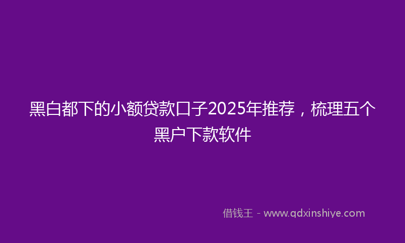 黑白都下的小额贷款口子2025年推荐，梳理五个黑户下款软件