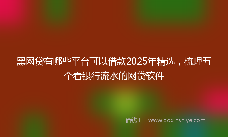 黑网贷有哪些平台可以借款2025年精选，梳理五个看银行流水的网贷软件
