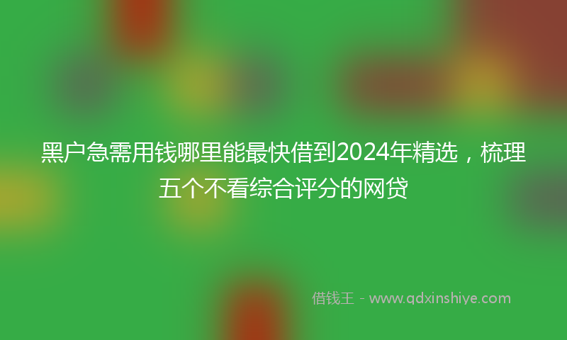 黑户急需用钱哪里能最快借到2024年精选，梳理五个不看综合评分的网贷