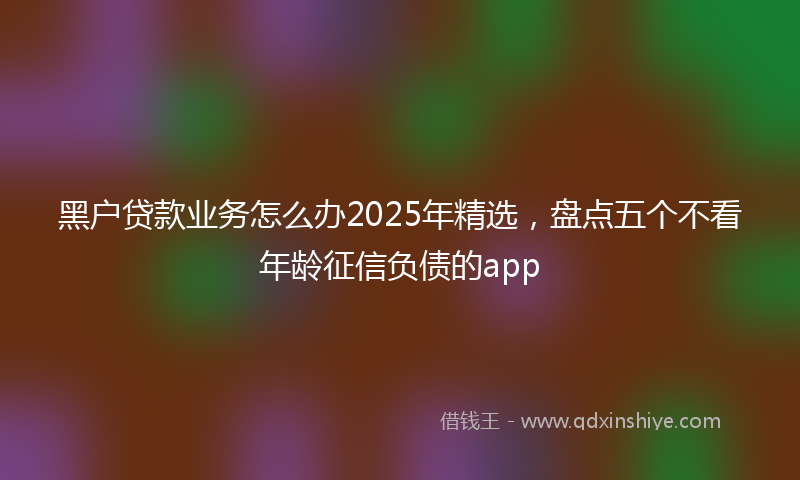 黑户贷款业务怎么办2025年精选，盘点五个不看年龄征信负债的app