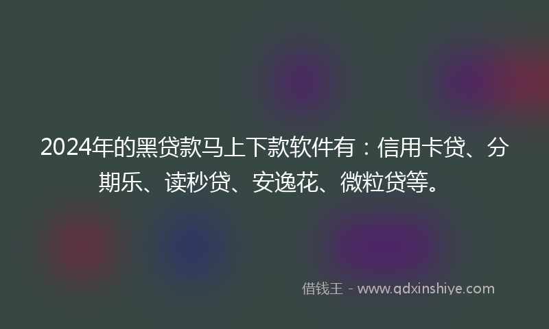 2024年的黑贷款马上下款软件有：信用卡贷、分期乐、读秒贷、安逸花、微粒贷等。