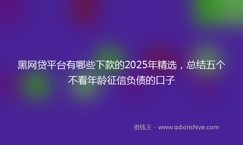 黑网贷平台有哪些下款的2025年精选，总结五个不看年龄征信负债的口子