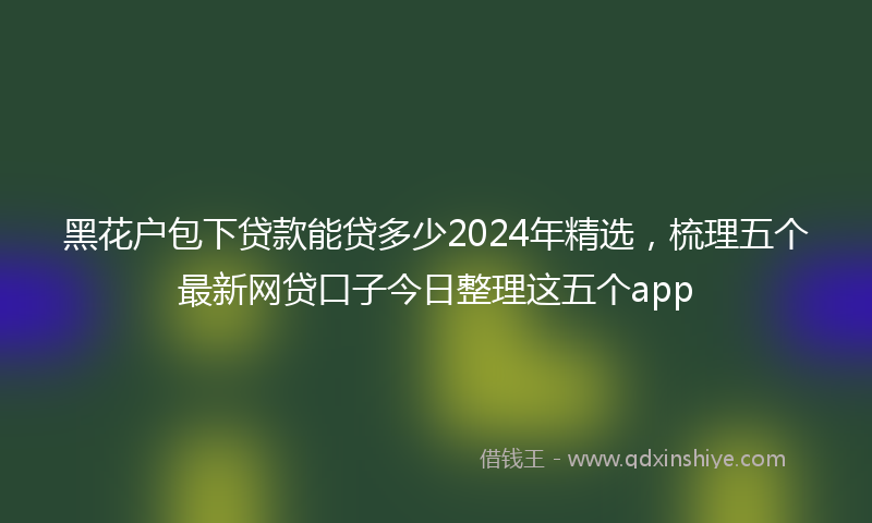 黑花户包下贷款能贷多少2024年精选，梳理五个最新网贷口子今日整理这五个app