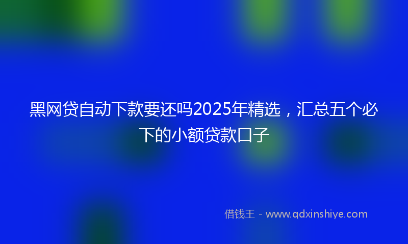 黑网贷自动下款要还吗2025年精选，汇总五个必下的小额贷款口子