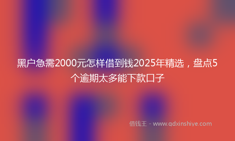 黑户急需2000元怎样借到钱2025年精选，盘点5个逾期太多能下款口子