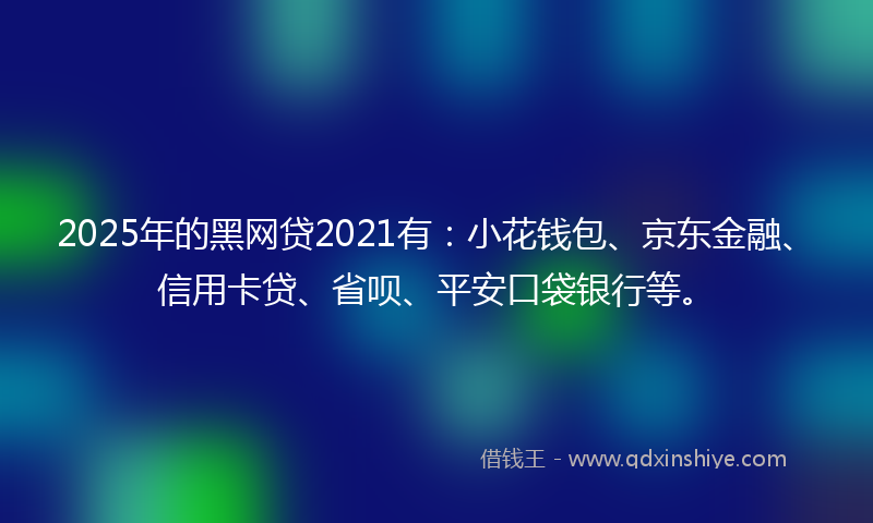 2025年的黑网贷2021有：小花钱包、京东金融、信用卡贷、省呗、平安口袋银行等。