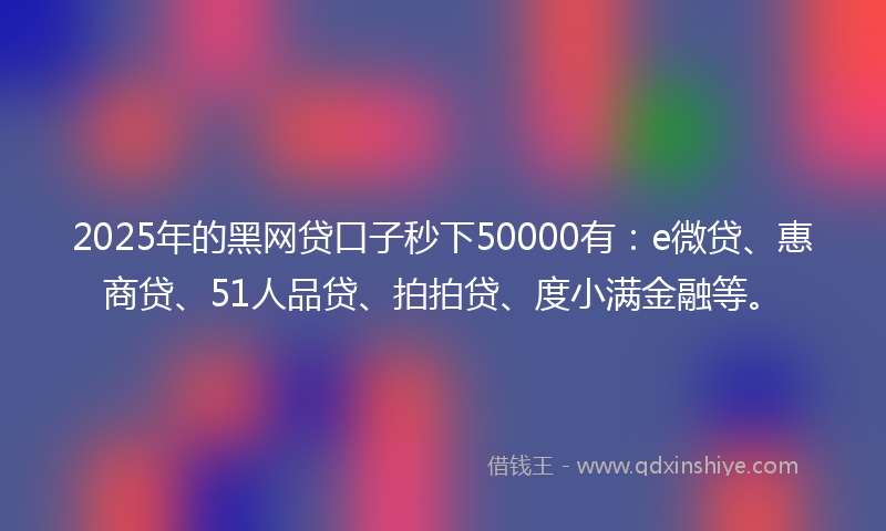 2025年的黑网贷口子秒下50000有：e微贷、惠商贷、51人品贷、拍拍贷、度小满金融等。
