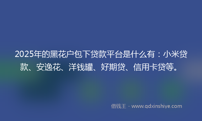 2025年的黑花户包下贷款平台是什么有：小米贷款、安逸花、洋钱罐、好期贷、信用卡贷等。