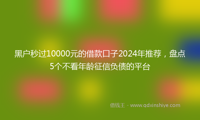 黑户秒过10000元的借款口子2024年推荐，盘点5个不看年龄征信负债的平台