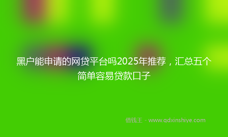 黑户能申请的网贷平台吗2025年推荐，汇总五个简单容易贷款口子