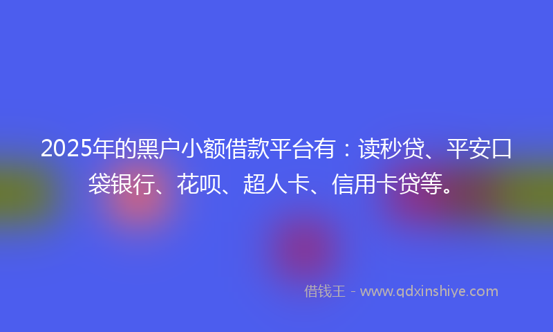 2025年的黑户小额借款平台有：读秒贷、平安口袋银行、花呗、超人卡、信用卡贷等。
