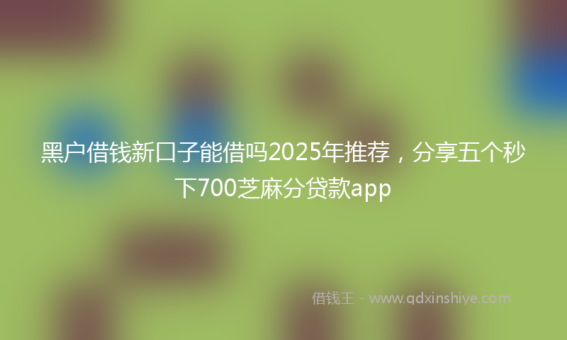 黑户借钱新口子能借吗2025年推荐，分享五个秒下700芝麻分贷款app