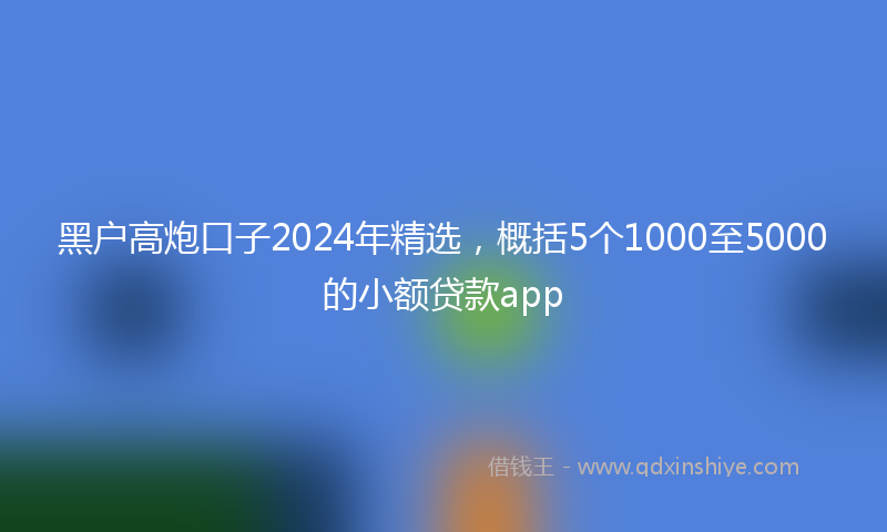 黑户高炮口子2024年精选，概括5个1000至5000的小额贷款app