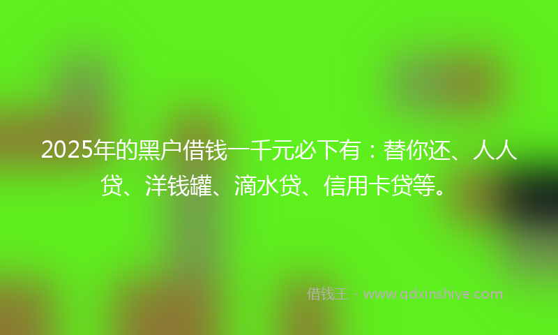 2025年的黑户借钱一千元必下有：替你还、人人贷、洋钱罐、滴水贷、信用卡贷等。