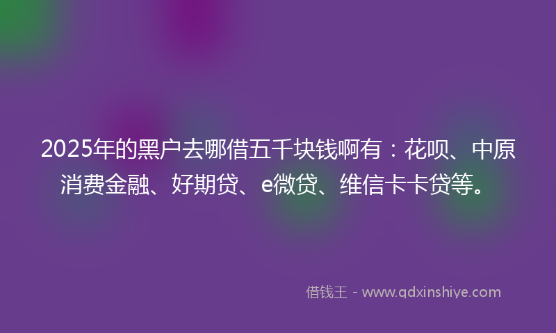 2025年的黑户去哪借五千块钱啊有：花呗、中原消费金融、好期贷、e微贷、维信卡卡贷等。