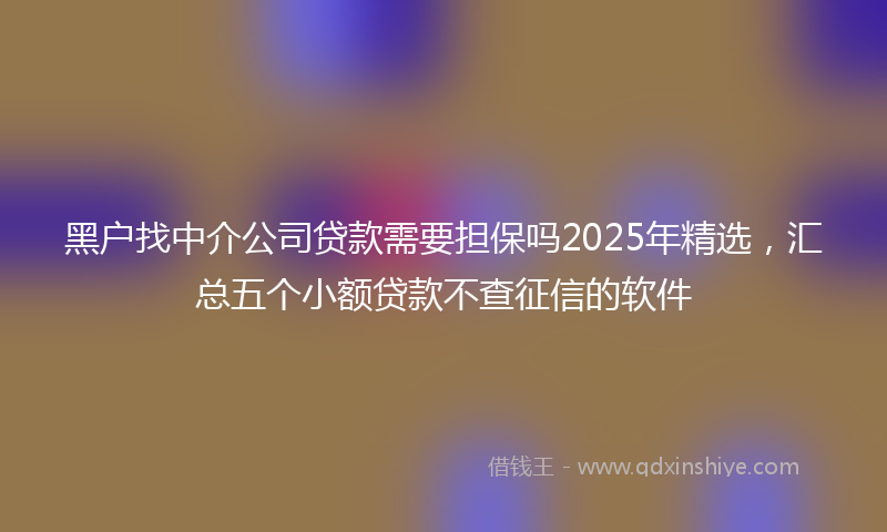 黑户找中介公司贷款需要担保吗2025年精选，汇总五个小额贷款不查征信的软件