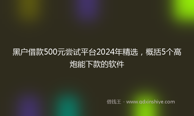 黑户借款500元尝试平台2024年精选，概括5个高炮能下款的软件
