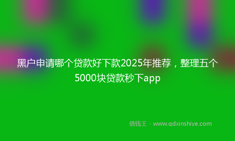 黑户申请哪个贷款好下款2025年推荐，整理五个5000块贷款秒下app