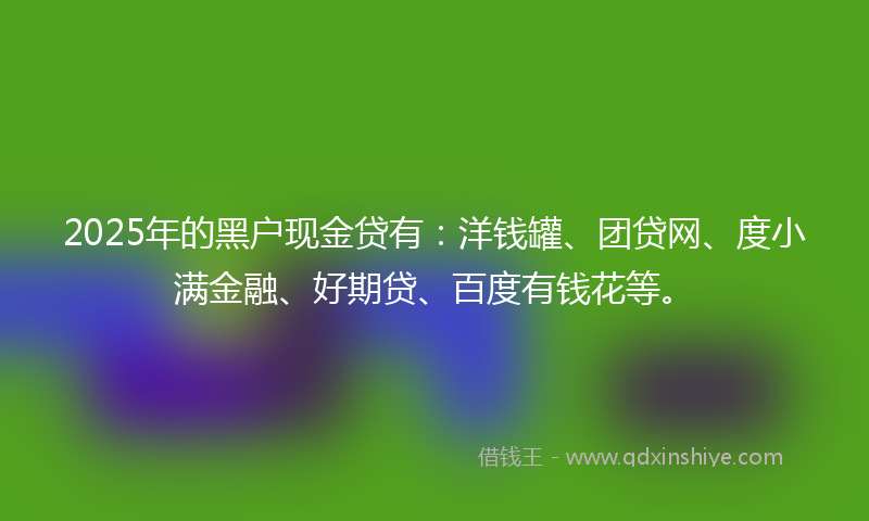 2025年的黑户现金贷有：洋钱罐、团贷网、度小满金融、好期贷、百度有钱花等。