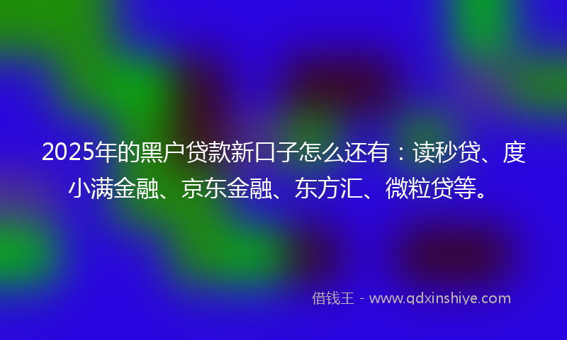 2025年的黑户贷款新口子怎么还有：读秒贷、度小满金融、京东金融、东方汇、微粒贷等。