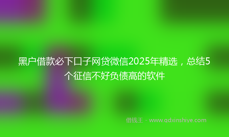 黑户借款必下口子网贷微信2025年精选，总结5个征信不好负债高的软件