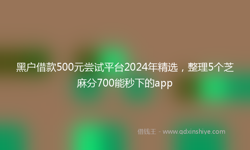 黑户借款500元尝试平台2024年精选，整理5个芝麻分700能秒下的app